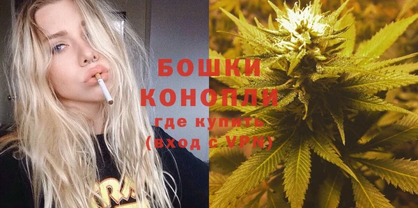 эйфоретик Каменногорск