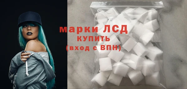 эйфоретик Каменногорск