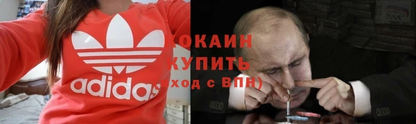 эйфоретик Каменногорск