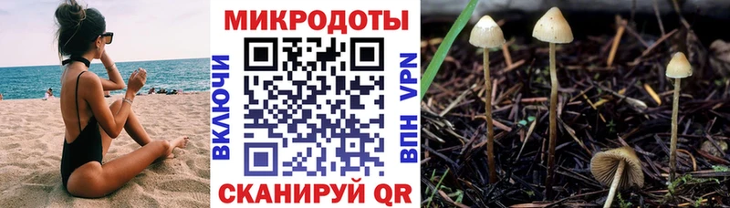 Псилоцибиновые грибы Psilocybe  Купить где  Полысаево 